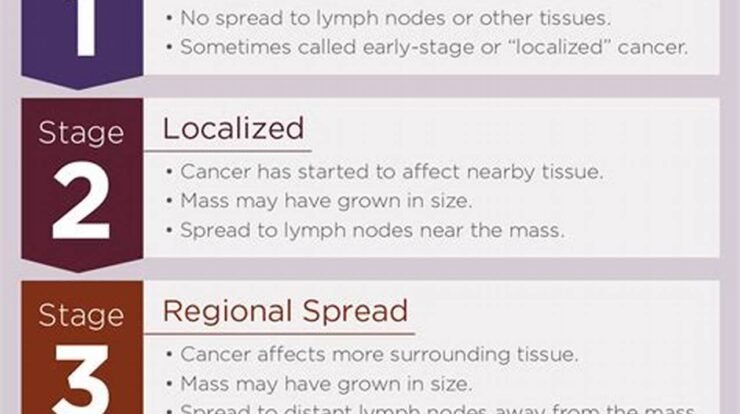 different cancer stages